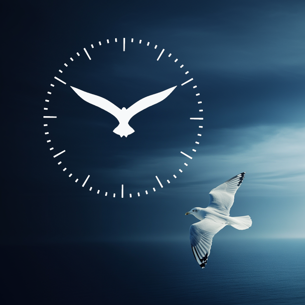 Gull-10-10